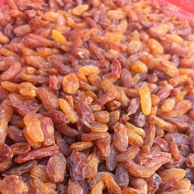 کشمش آفتابی درجه 1 عنابی و درشت