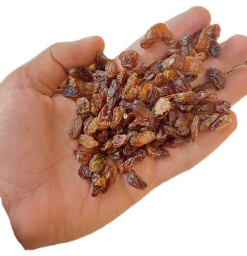 کشمش آفتابی درشت