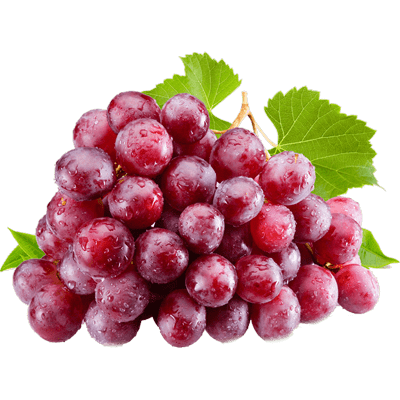 نهال انگور ردگلوپ