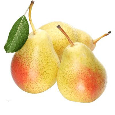 نهال گلابی زرد پیش رس